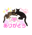 バステトありがとう❤️（個別スタンプ：7）