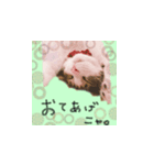 ちあーず 2（個別スタンプ：6）