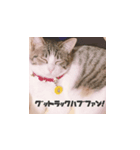 ちあーず5（個別スタンプ：2）