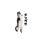 ちあーず5（個別スタンプ：3）