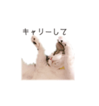 ちあーず5（個別スタンプ：4）