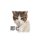 ちあーず5（個別スタンプ：6）