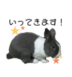 うさぎのモモとチョッチョ。（個別スタンプ：2）