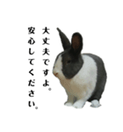 うさぎのモモとチョッチョ。（個別スタンプ：6）
