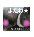 うさぎのモモとチョッチョ。（個別スタンプ：8）