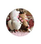 さとし(柴犬)のスタンプ（個別スタンプ：6）