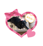 まろももお友達編①りおちゃん（個別スタンプ：15）