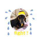まろももお友達編①りおちゃん（個別スタンプ：19）
