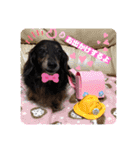 まろももお友達編①りおちゃん（個別スタンプ：34）