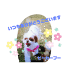 ピーカーブー（個別スタンプ：6）