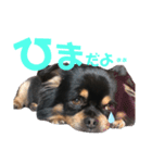 りきくんだよぉぉ（個別スタンプ：4）