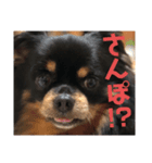 りきくんだよぉぉ（個別スタンプ：6）