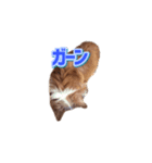 ぶさかわココちゃん（個別スタンプ：2）