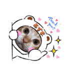 はり猫3（個別スタンプ：6）