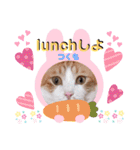 はり猫3（個別スタンプ：7）