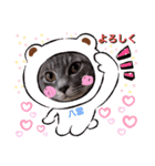 はり猫3（個別スタンプ：8）