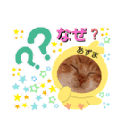 はり猫3（個別スタンプ：9）