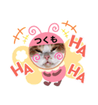 はり猫3（個別スタンプ：12）
