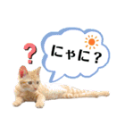 おーけーけー語（個別スタンプ：1）