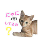 おーけーけー語（個別スタンプ：7）