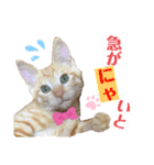 おーけーけー語（個別スタンプ：9）