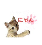 おーけーけー語（個別スタンプ：10）