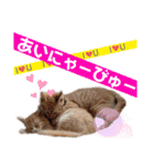 おーけーけー語（個別スタンプ：15）