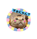 おーけーけー語（個別スタンプ：16）
