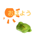 ボクはカエルです。まだ名前はありません。（個別スタンプ：1）