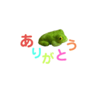 ボクはカエルです。まだ名前はありません。（個別スタンプ：13）
