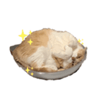 ふくのすたんぷ 1（個別スタンプ：3）