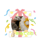 はむきち＆ぽちこのすたんぷ！（個別スタンプ：6）