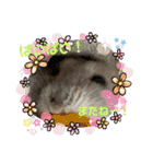はむきち＆ぽちこのすたんぷ！（個別スタンプ：9）