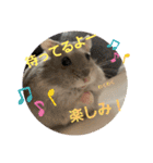 はむきち＆ぽちこのすたんぷ！（個別スタンプ：11）