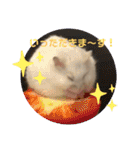 はむきち＆ぽちこのすたんぷ！（個別スタンプ：22）