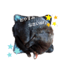 ねこねこねこねこ♡（個別スタンプ：10）