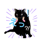 ねこねこねこねこ♡（個別スタンプ：23）