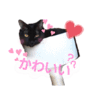 ねこねこねこねこ♡（個別スタンプ：29）