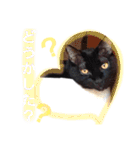 ねこねこねこねこ♡（個別スタンプ：32）