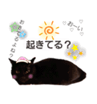 ねこねこねこねこ♡（個別スタンプ：38）