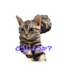 dear riri（個別スタンプ：13）