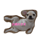 よもぎシリーズ②（個別スタンプ：1）