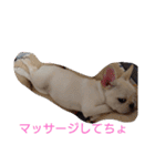 よもぎシリーズ②（個別スタンプ：3）