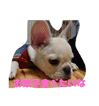 よもぎシリーズ②（個別スタンプ：4）