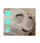 よもぎシリーズ②（個別スタンプ：7）