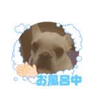 よもぎシリーズ②（個別スタンプ：10）