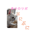 よもぎシリーズ②（個別スタンプ：12）