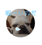 よもぎシリーズ②（個別スタンプ：13）
