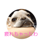 よもぎシリーズ②（個別スタンプ：14）