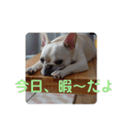 よもぎシリーズ②（個別スタンプ：16）